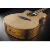 Lefty Auditorium Cutaway Gloss
