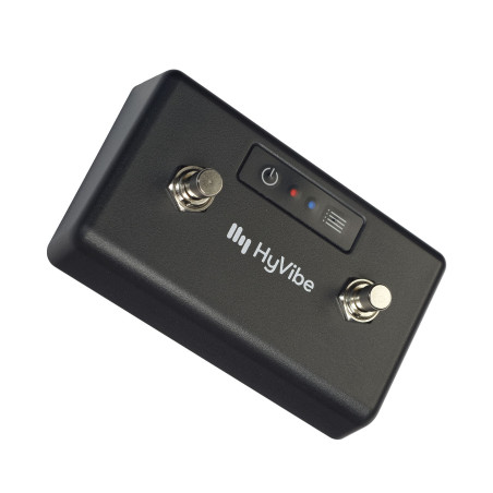 2-switches Bluetooth Controller