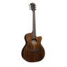 Auditorium Cutaway Acoustic-Electric