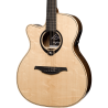 Lefty Auditorium Cutaway Gloss