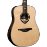 Dreadnought Bevel Gloss