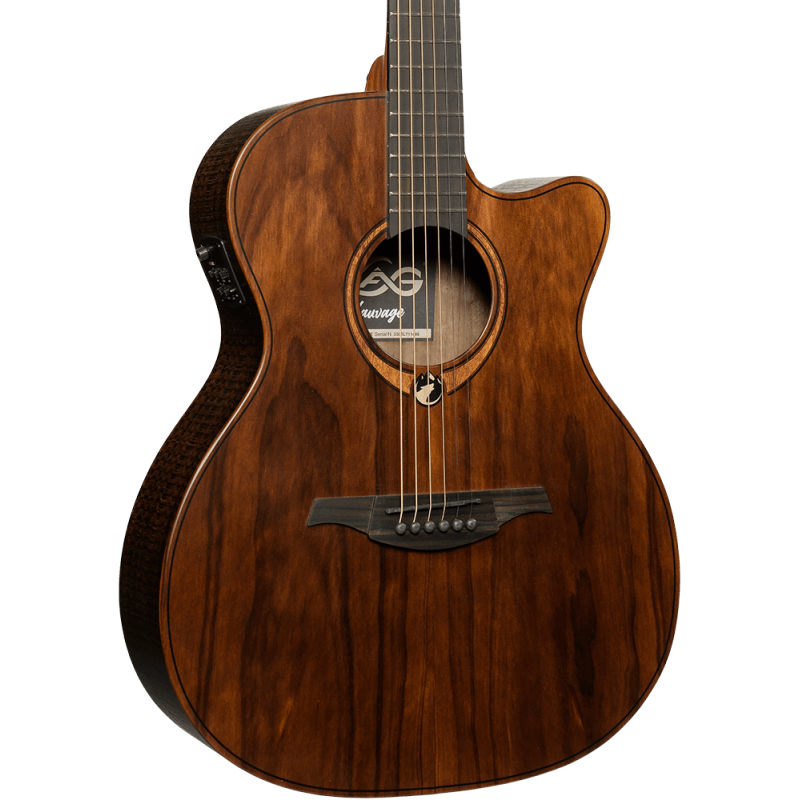 Auditorium Cutaway Acoustic-Electric