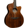 Auditorium Cutaway Acoustic-Electric